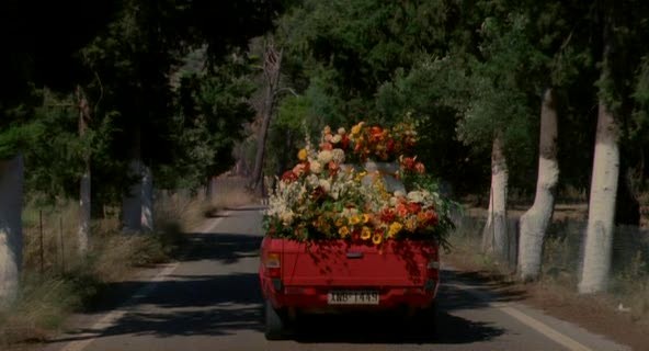 Gamilio'nun Partisi Fotoğrafı