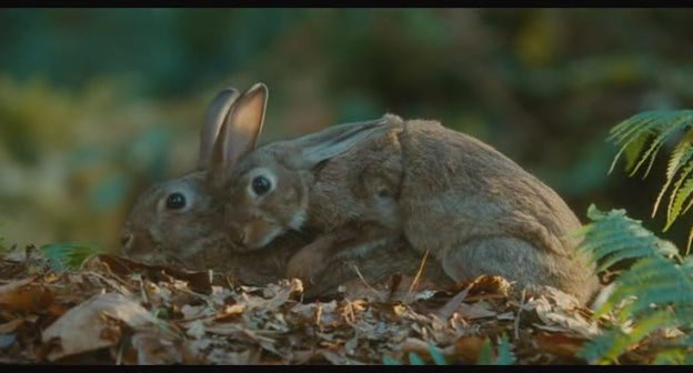 Kadın İsterse Fotoğrafı