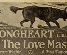 The Love Master (1924) afişi