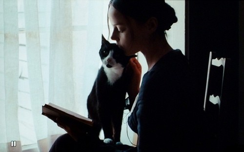 Parlak Yıldız Fotoğrafı