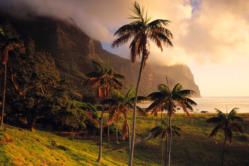 Cenneti Kurmak fotoğrafı