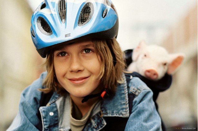 Rennschwein Rudi Rüssel  2 fotoğrafı