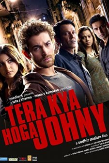 Ride The Wave Johnny (2009) afişi