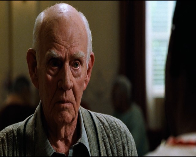 Yeşil Yol Fotoğrafı