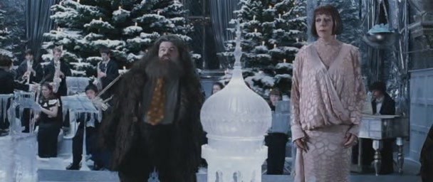 Harry Potter ve Ateş Kadehi Fotoğrafı