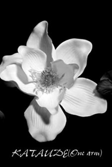 Kataude (2008) afişi