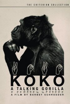 Koko, a Talking Gorilla (1978) afişi