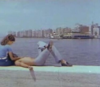 Ateş Böceği Fotoğrafı