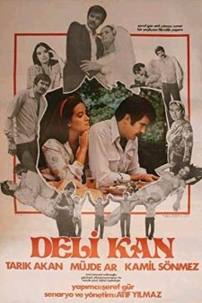 Deli Kan (1981) afişi