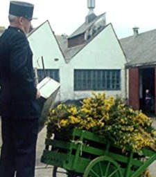 Les Ajoncs (1970) afişi