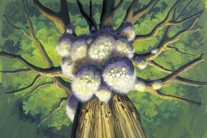 Rüzgarlı Vadi Fotoğrafı