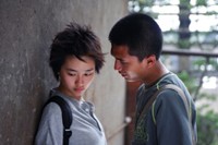 Thirteen Princess Trees fotoğrafı