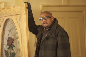 Lanetli Bataklık Fotoğrafı