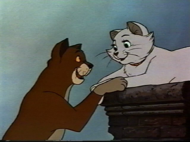 Aristokediler Fotoğrafı