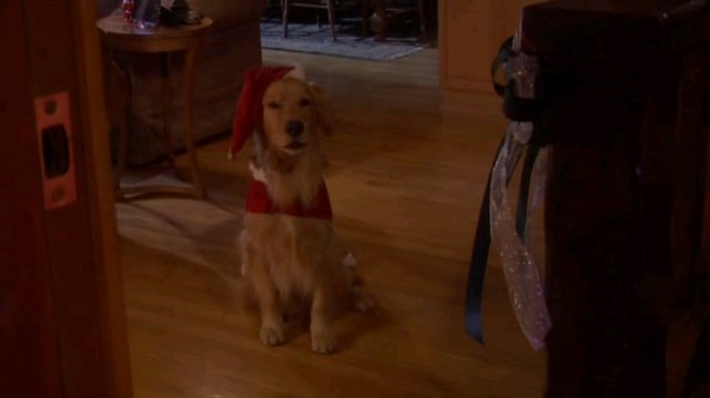 Altın Noel fotoğrafı