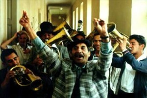 Kara Kedi Ak Kedi Fotoğrafı