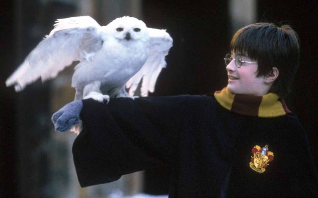 Harry Potter ve Sırlar Odası Fotoğrafı
