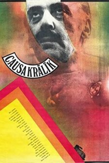 Causa Králík (1980) afişi