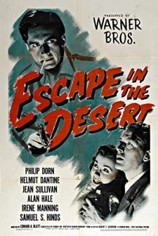 Escape In The Desert (1945) afişi