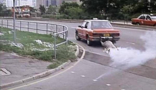 The Big Deal Fotoğrafı