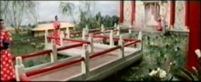 Shaolin Plot Fotoğrafı