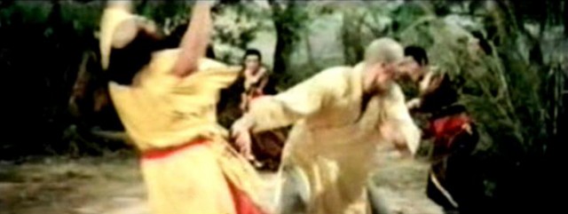 Shaolin Plot Fotoğrafı