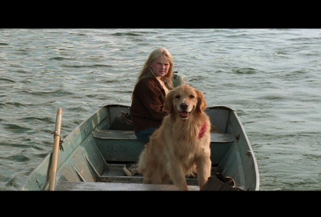 When I Find The Ocean fotoğrafı