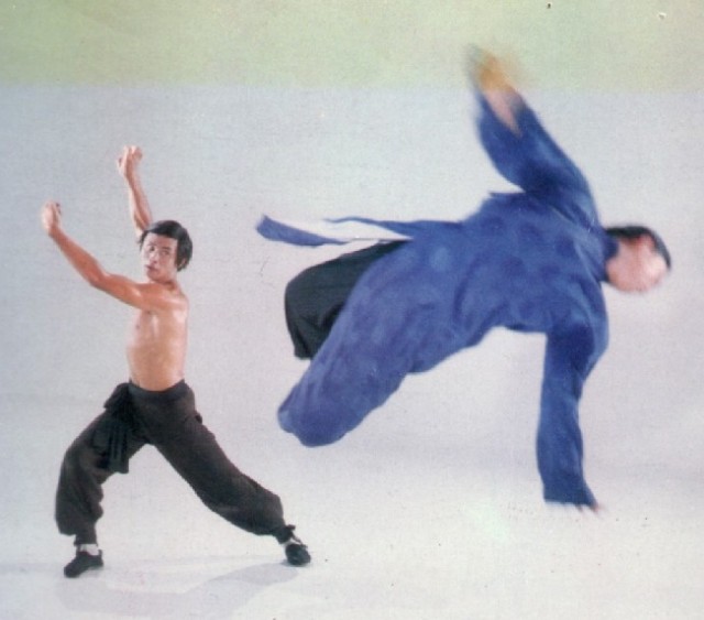 He Has Nothing But Kung Fu Fotoğrafı