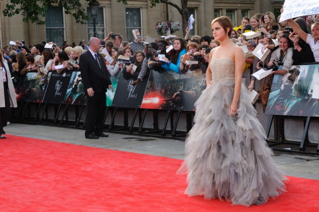 Harry Potter ve Ölüm Yadigarları: Bölüm 2 Fotoğrafı