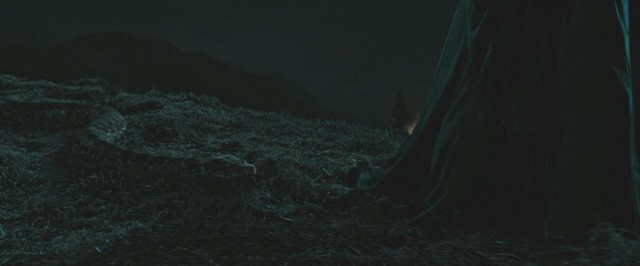 Harry Potter ve Ölüm Yadigarları: Bölüm 2 Fotoğrafı