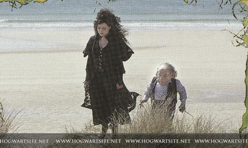 Harry Potter ve Ölüm Yadigarları: Bölüm 2 Fotoğrafı