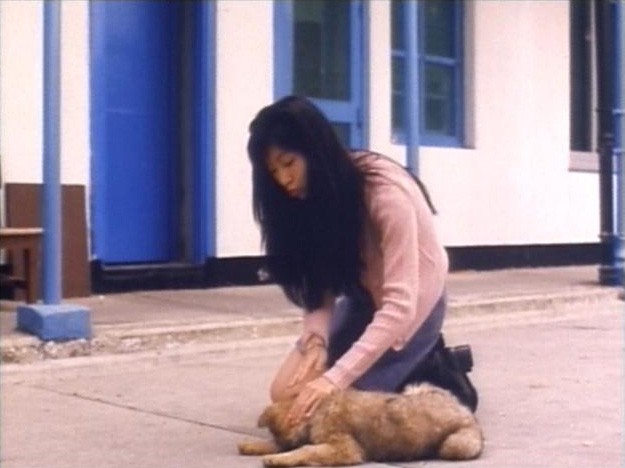 The Case Of The Cold Fish fotoğrafı