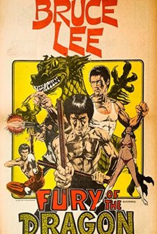 Fury Of The Dragon (1976) afişi