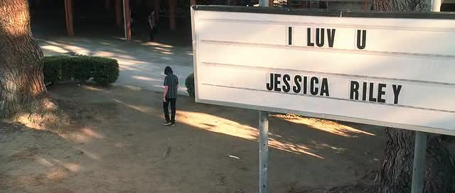 Çılgın Aptal Aşk Fotoğrafı