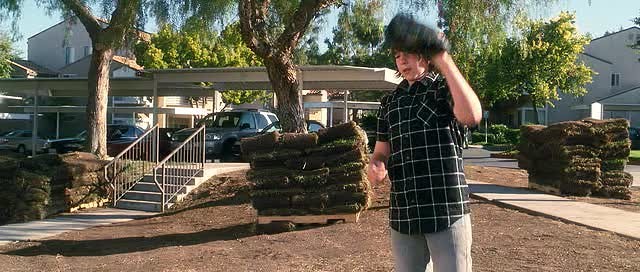 Çılgın Aptal Aşk Fotoğrafı