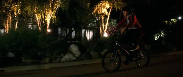 Çılgın Aptal Aşk Fotoğrafı