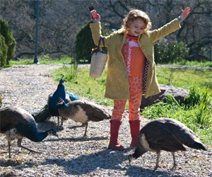 Düşler Bahçesi Fotoğrafı