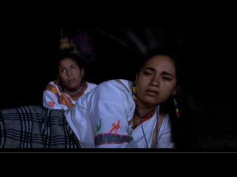 La Voz De Las Cigarras fotoğrafı