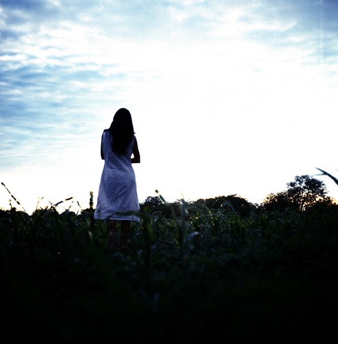 La Voz De Las Cigarras fotoğrafı