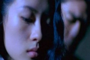 Mor Kelebek fotoğrafı