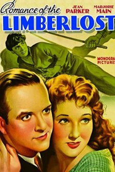 Romance Of The Limberlost (1938) afişi