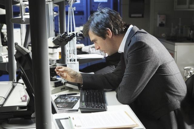 Flash Forward Fotoğrafı