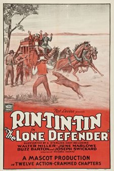 The Lone Defender (1930) afişi