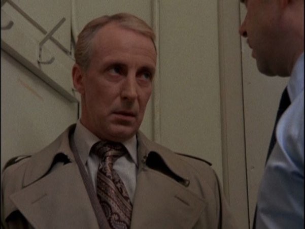 Köstebek Fotoğrafı