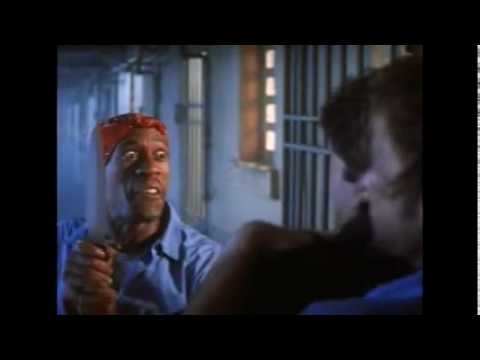 The Expert Fotoğrafı