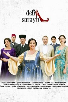 Deli Saraylı (2010) afişi