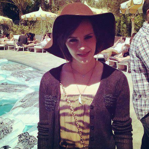 Saksı Olmanın Faydaları Fotoğrafı