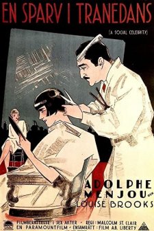 A Social Celebrity (1926) afişi