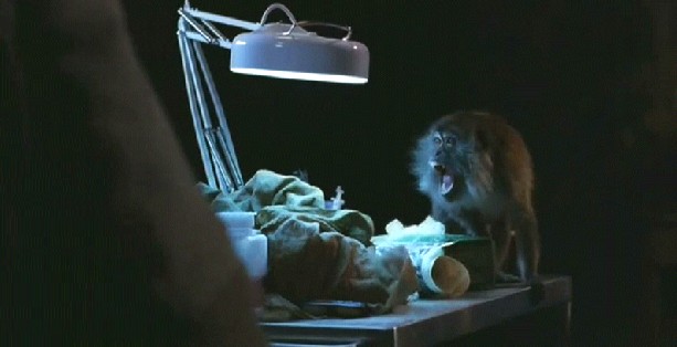 Üçüncü Anne Fotoğrafı