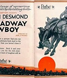 A Broadway Cowboy (1920) afişi